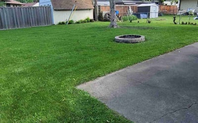 Photo of Anita B.'s yard after getting lawn care in Anoka, MN