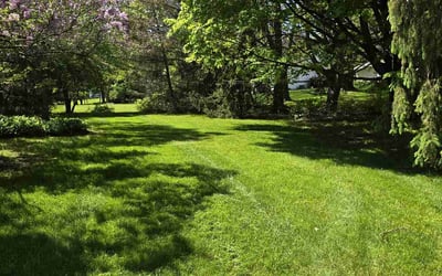 Photo of Laurie L.'s yard after getting lawn care in Montgomery, AL