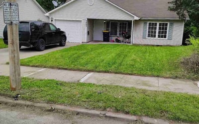 Photo of Denver Z.'s yard after getting lawn care in Beaver Falls, PA