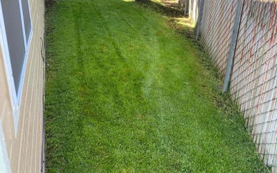 Photo of Ryan G.'s yard after getting lawn care in Sparks, NV