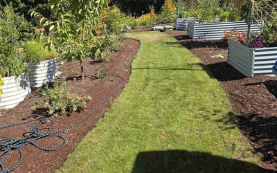 Photo of Steve U.'s yard after getting lawn care in Gig Harbor, WA