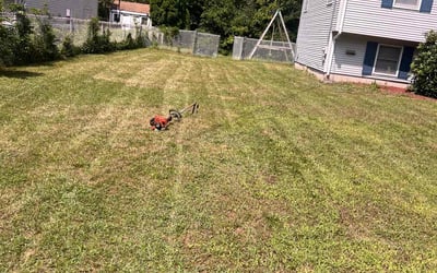 Photo of Linda S.'s yard after getting lawn care in Brighton, MA