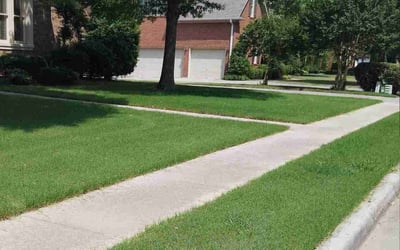 Photo of Susan H.'s yard after getting lawn care in Warminster, PA