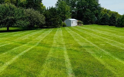 Photo of Julie R.'s yard after getting lawn care in Green Bay, WI