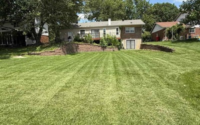Photo of Joyce B.'s yard after getting lawn care in Clemson, SC