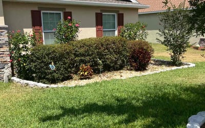 Photo of Cris P.'s yard after getting lawn care in Sandy, OR