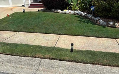 Photo of Jane B.'s yard after getting lawn care in Blythewood, SC