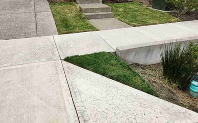 Photo of THADDAEUS H.'s yard after getting lawn care in Wilsonville, OR