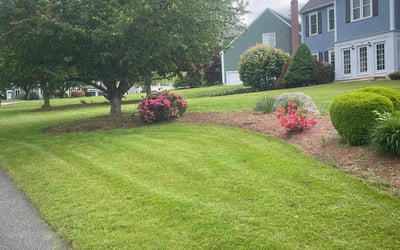 Photo of Sheree K.'s yard after getting lawn care in South Lyon, MI