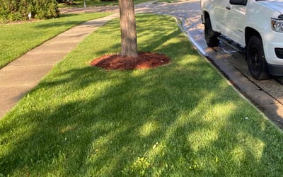 Photo of Richard H.'s yard after getting lawn care in Wauconda, IL