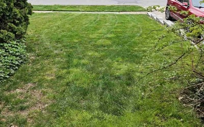 Photo of Gwen C.'s yard after getting lawn care in Hazleton, PA