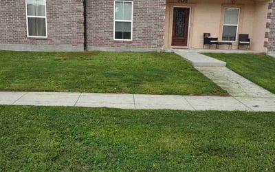 Photo of Winston S.'s yard after getting lawn care in Castaic, CA