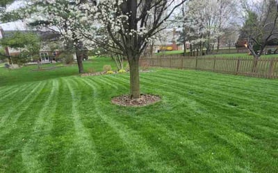 Photo of Pam A.'s yard after getting lawn care in Sardinia, OH