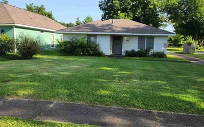 Photo of Naara T.'s yard after getting lawn care in Rome, NY