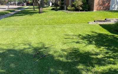 Photo of Stephanie K.'s yard after getting lawn care in Dallas, TX