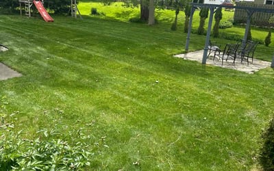 Photo of Lavora H.'s yard after getting lawn care in Zeeland, MI