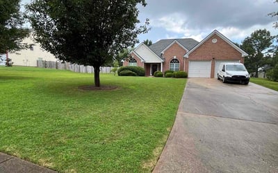 Photo of Adam H.'s yard after getting lawn care in Defuniak Springs, FL