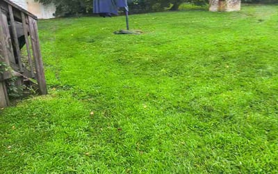 Photo of Ann M.'s yard after getting lawn care in Chesterfield, MO
