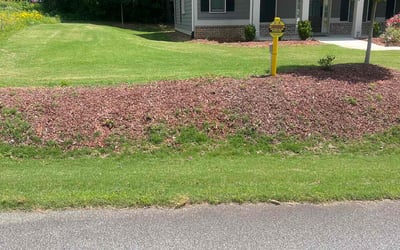 Photo of Josh R.'s yard after getting lawn care in Provo, UT