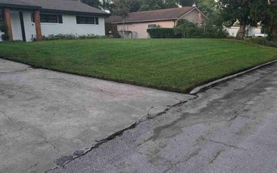Photo of Alisha A.'s yard after getting lawn care in Atascadero, CA