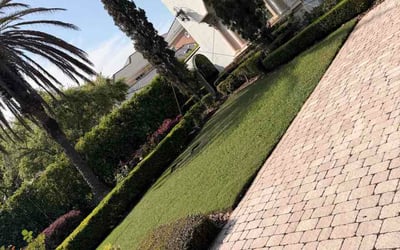 Photo of Allie B.'s yard after getting lawn care in Austin, TX