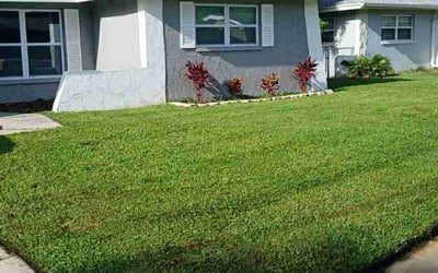 Photo of Sandra M.'s yard after getting lawn care in Redford, MI
