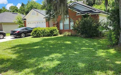 Photo of Brittney P.'s yard after getting lawn care in Silver Spring, MD