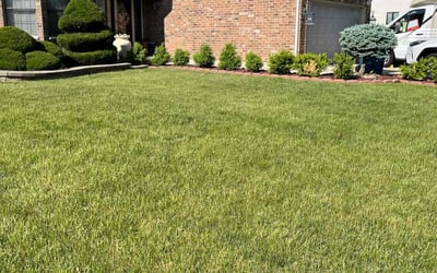 Photo of Belinda N.'s yard after getting lawn care in Pittsboro, NC
