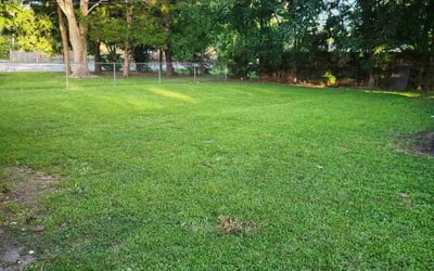 Photo of Joseph D.'s yard after getting lawn care in Angleton, TX