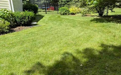 Photo of Tony D.'s yard after getting lawn care in Woodruff, SC