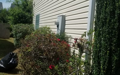 Photo of Rehana L.'s yard after getting tree care in Saint Charles, MO