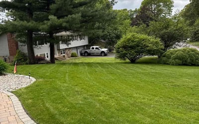 Photo of Edmond M.'s yard after getting lawn care in San Antonio, TX