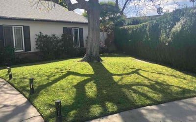 Photo of Greg J.'s yard after getting lawn care in Orange, CA