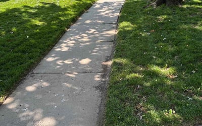 Photo of James D.'s yard after getting lawn care in Muskegon, MI