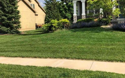 Photo of Kayla J.'s yard after getting lawn care in Salem, VA