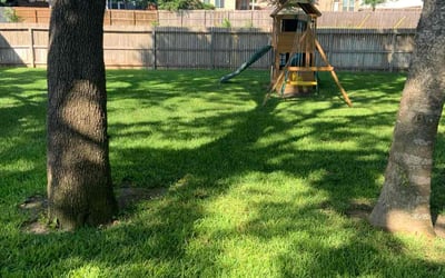 Photo of Christine C.'s yard after getting lawn care in Boerne, TX