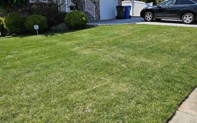 Photo of Amber F.'s yard after getting lawn care in Lakewood, NJ