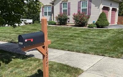 Photo of Courtney W.'s yard after getting lawn care in Apex, NC