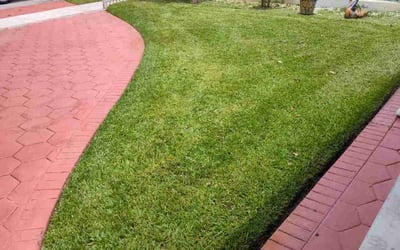 Photo of Kimberly K.'s yard after getting lawn care in Belton, TX