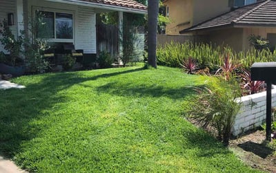 Photo of Eric W.'s yard after getting lawn care in Brea, CA