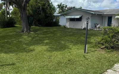 Photo of Todd R.'s yard after getting tree care in Jupiter, FL