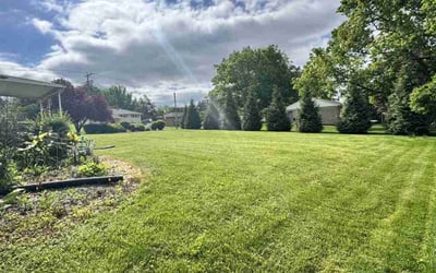 Photo of Andrea W.'s yard after getting lawn care in Plainfield, NJ