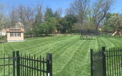 Photo of Ashley S.'s yard after getting lawn care in East Norriton, PA