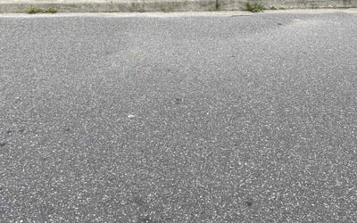 Photo of Felix M.'s yard after getting lawn care in Bellmore, NY