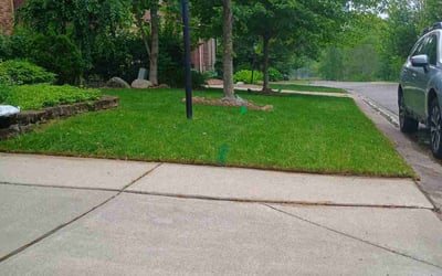 Photo of Jennifer D.'s yard after getting lawn care in Yorktown, VA