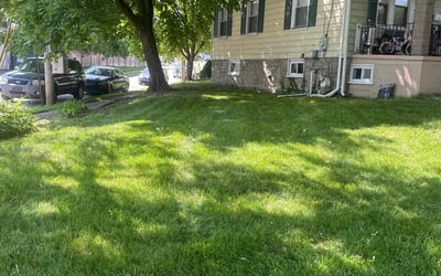 Photo of Tysean G.'s yard after getting lawn care in Glenside, PA