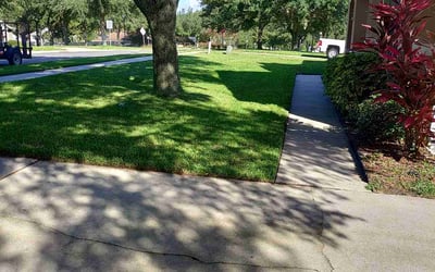 Photo of Jennifer T.'s yard after getting lawn care in Parsippany, NJ