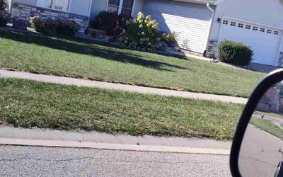 Photo of Elisabeth M.'s yard after getting lawn care in Springfield, IL