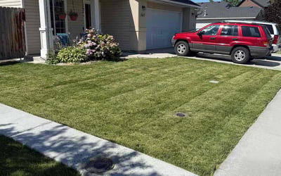 Photo of Aurora B.'s yard after getting lawn care in Clarkston, MI