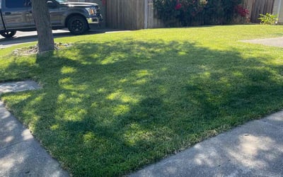 Photo of Linda S.'s yard after getting lawn care in Vallejo, CA